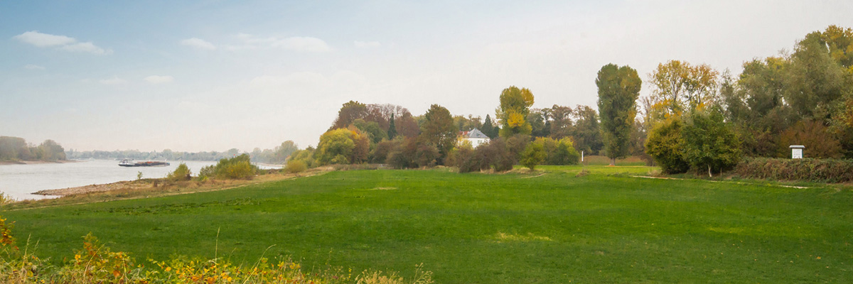 Rheinwiesen Kaiserswerth