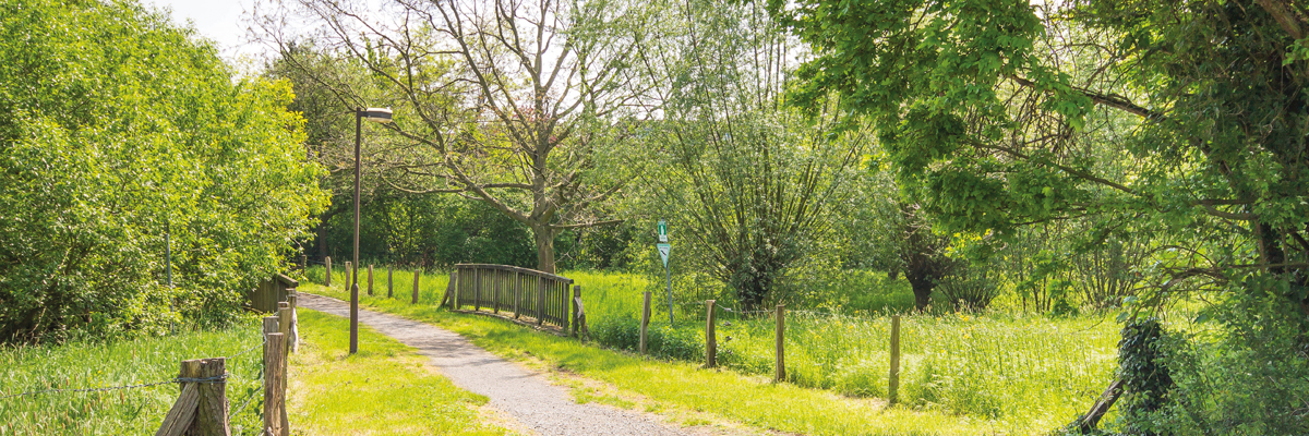 Grünflächen Huckingen