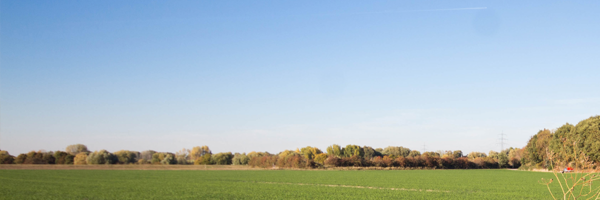 Impressionen Mündelheim