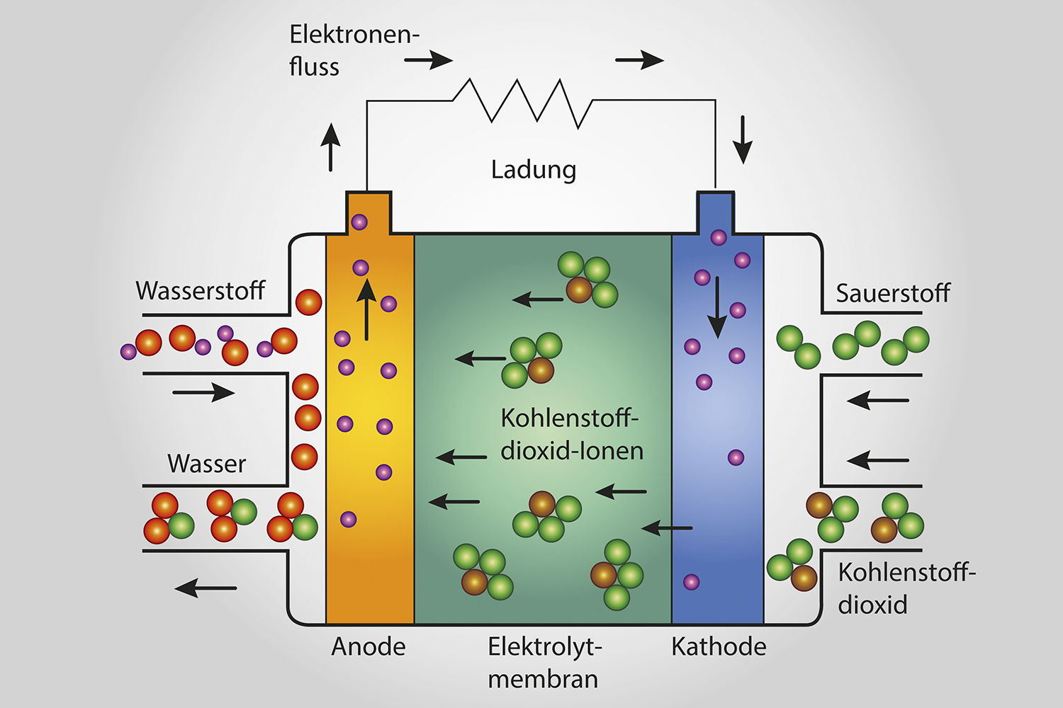 Brennstoffzellenheizung Düsseldorf