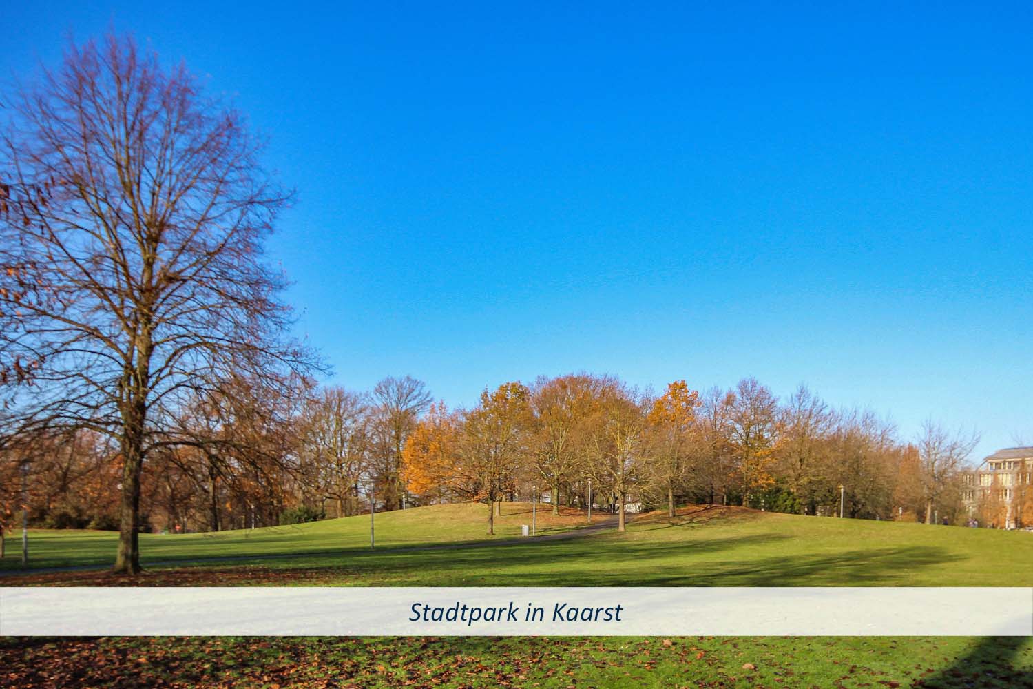 5 Stadtpark Kaarst Neubauprojekt in Kaarst Mehrfamilienhaus Neubau Lange Hecke
